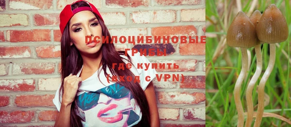 дурь Алексеевка
