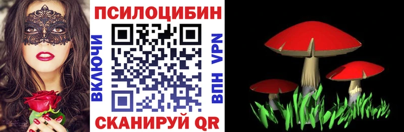 Галлюциногенные грибы мицелий  blacksprut   Сосновоборск  как найти закладки 